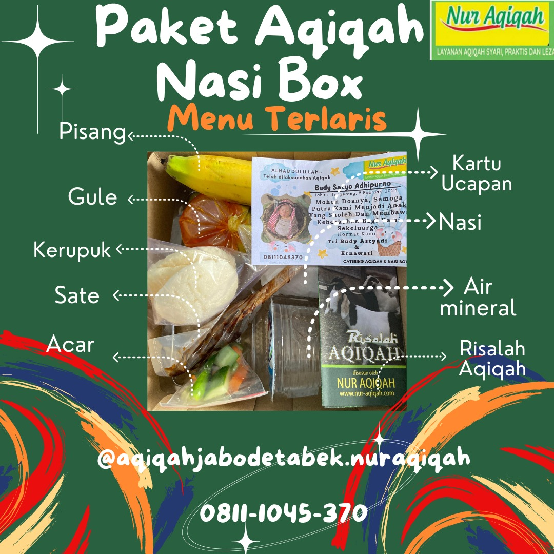 Paket nasi box aqiqah